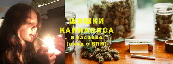 индика Абдулино