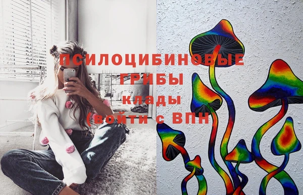 индика Абдулино