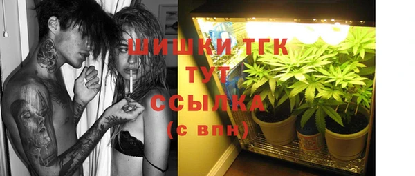 индика Абдулино