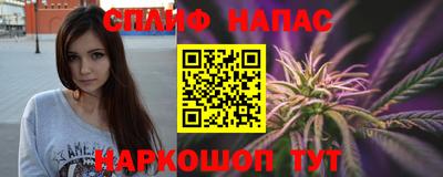 a pvp Моздок