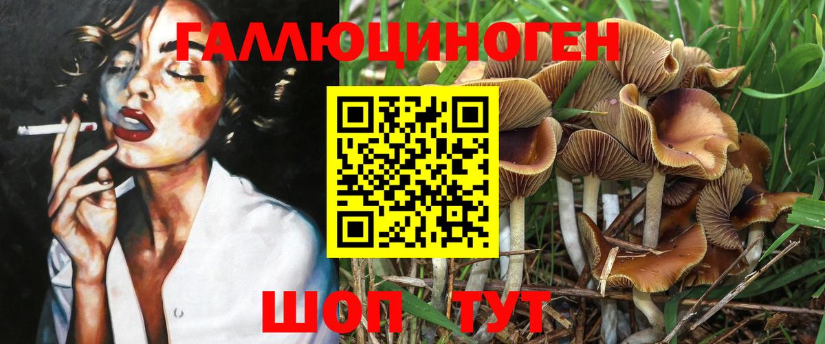 Псилоцибиновые грибы GOLDEN TEACHER Ярославль