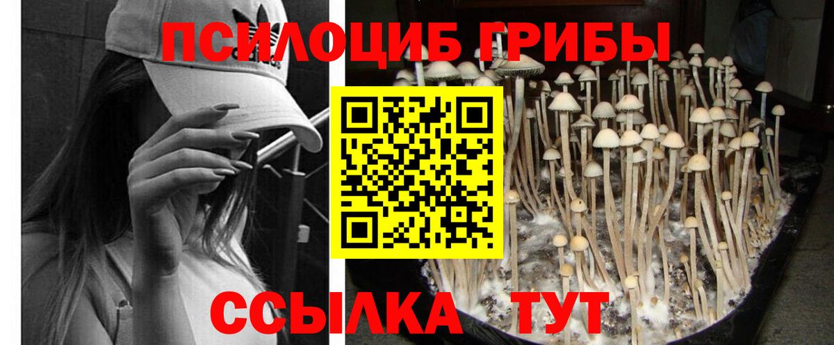 Псилоцибиновые грибы Magic Shrooms  Вход с VPN  Ярославль 